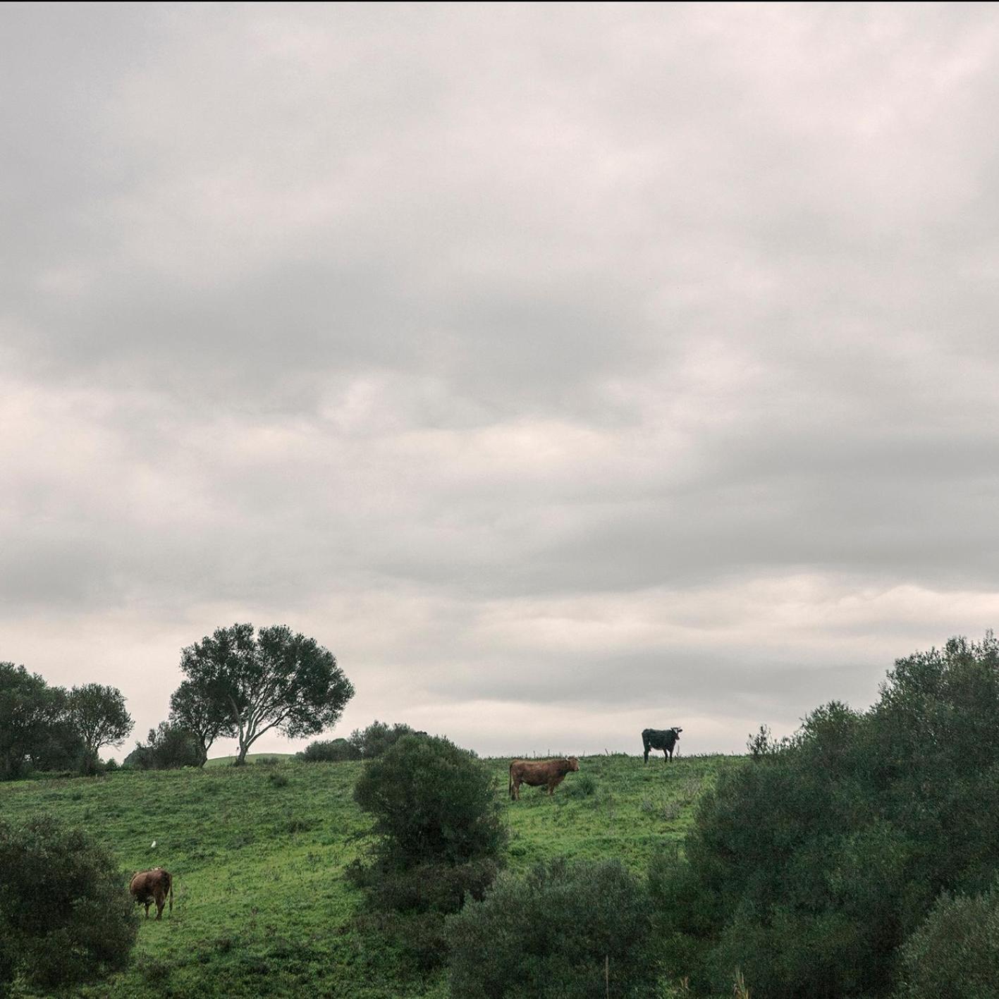 فيلا Ruralcamomo كاديز المظهر الخارجي الصورة